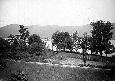 Paine garden 1910